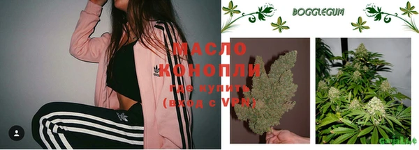 молекула духа Майский