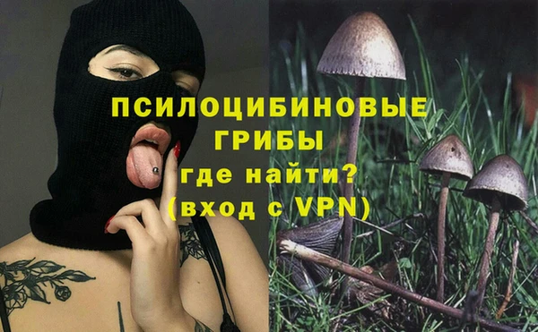 прущие грибы Лихославль