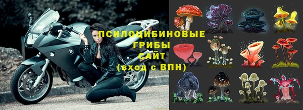 тгк Липки