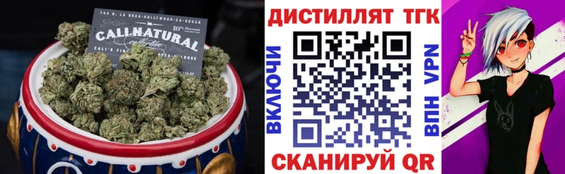 купить закладку  omg как зайти  Дистиллят ТГК THC oil  Новая Усмань 